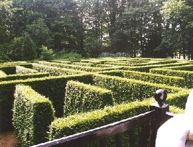 Classical hedge maze