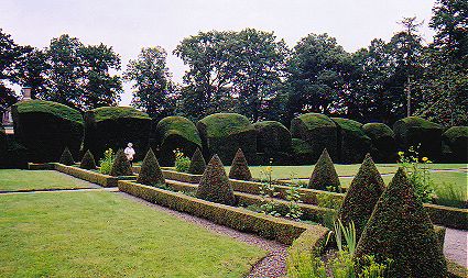 Yew trees line the convent garden