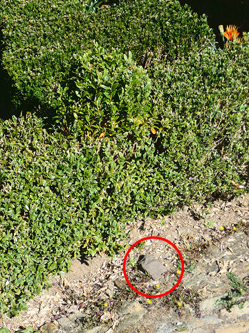 The stone at the edge of the pavement indicates the exact position of the 12 hr point (Sept. 2013).